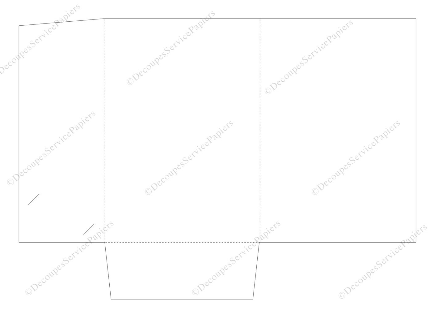 CHEMISE F 220 X 315 O 560 X 395.JPG